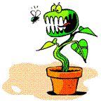 Avatar du membre