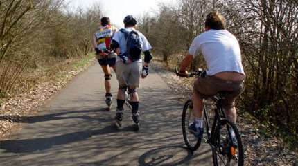 Skating: A Full-Fledged Means of Transport