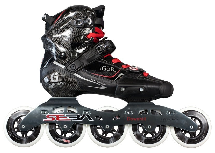 Seba Igor DH 2013 (en)