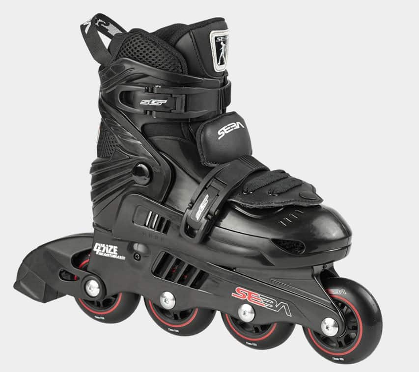 Seba J Black 2016 (en)